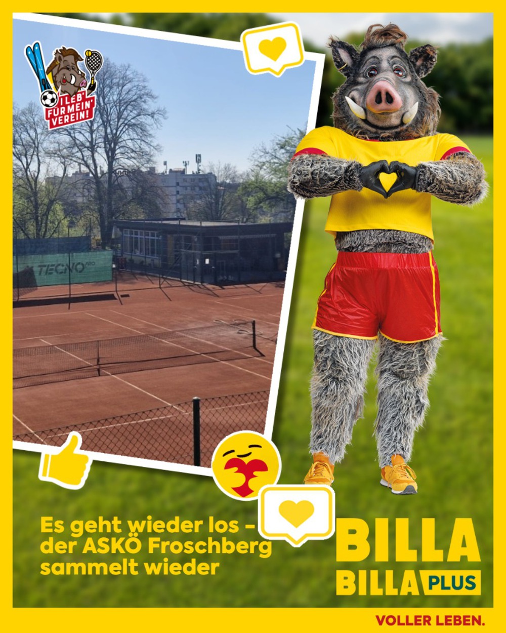 Billa-Lose sammeln - Gemeinsam stark für den ASKÖ Froschberg!